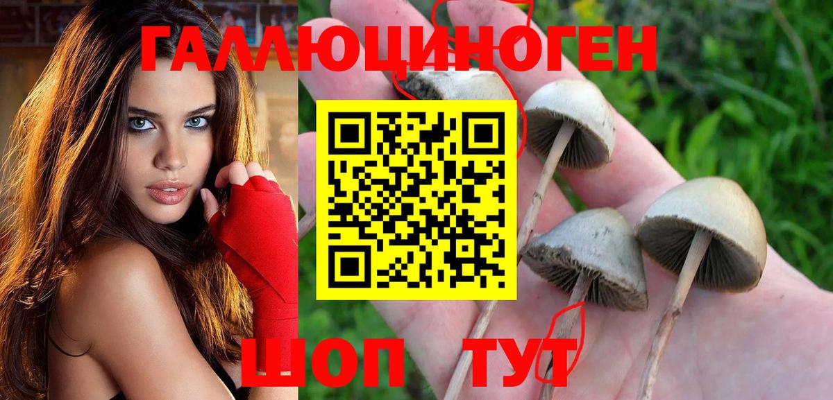 Псилоцибиновые грибы мицелий Мирный