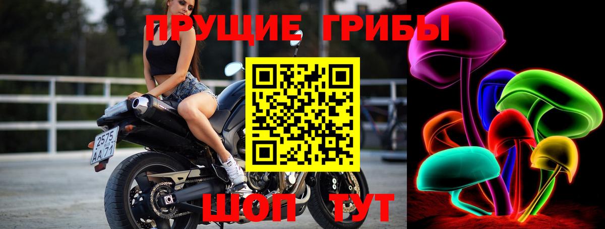 Мирный  Псилоцибиновые грибы Psilocybine cubensis  Вход с VPN 