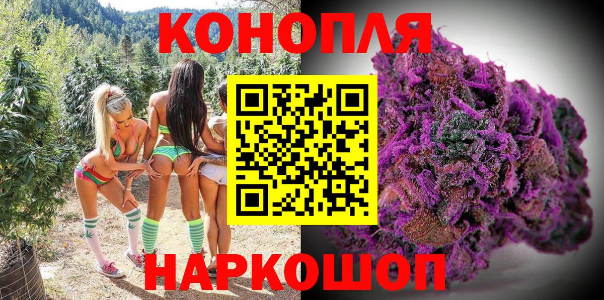 Конопля OG Kush Мирный